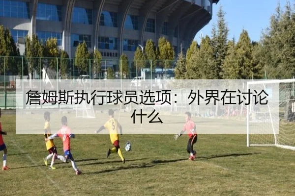 詹姆斯执行球员选项：外界在讨论什么